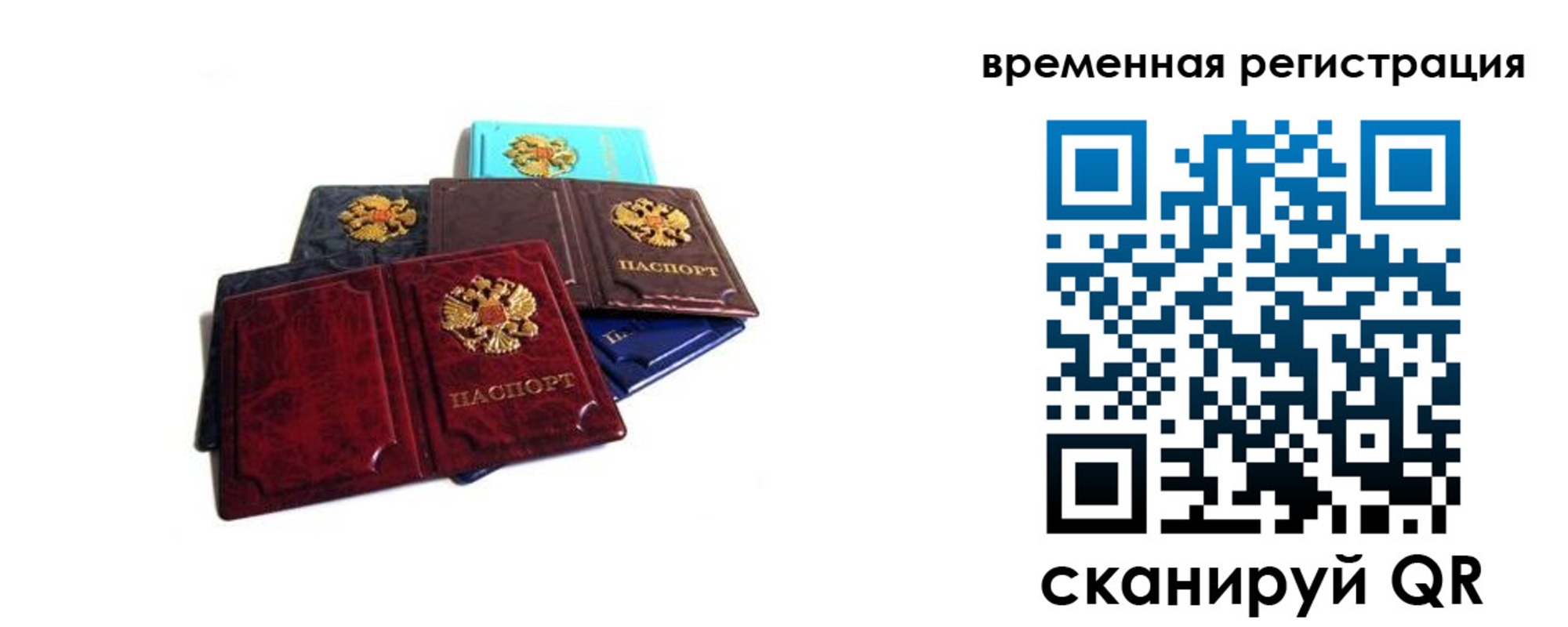 прописка гарантия в Ярославле